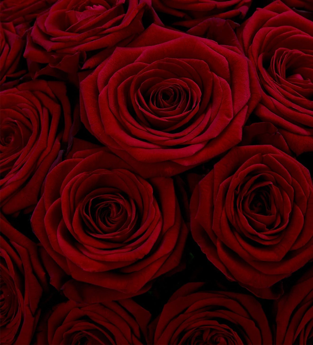 Red Naomi Rose Hat Box — Flat Collection